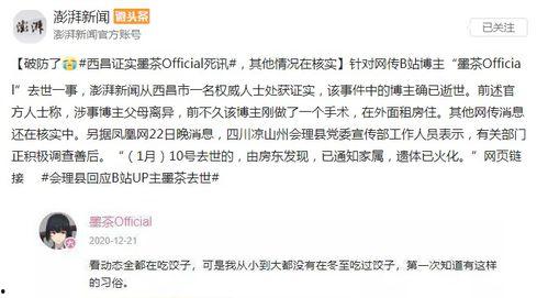 b站娱乐圈吃瓜,b站吃瓜指南，揭秘明星幕后故事